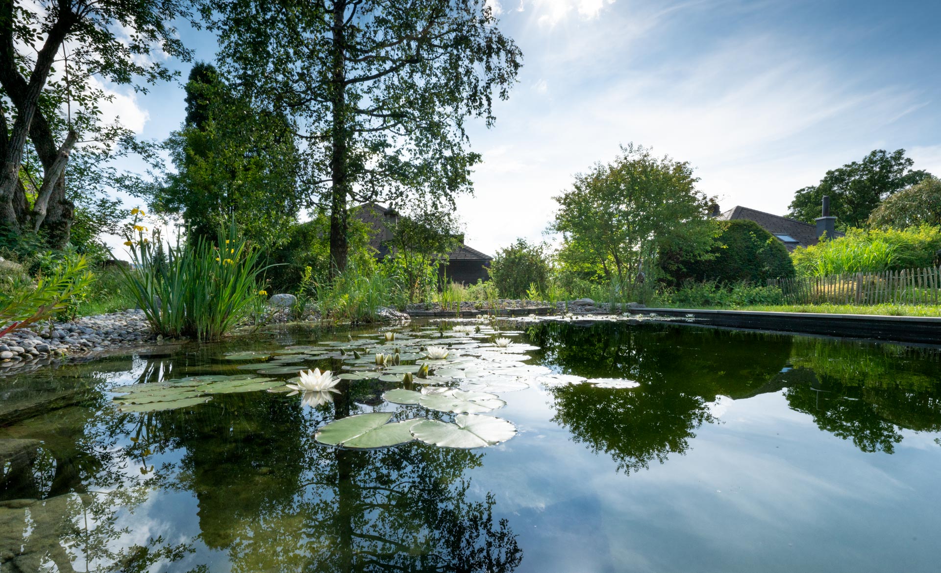 Schwimmteich für die Schweiz von Swissteich Knechtgarten